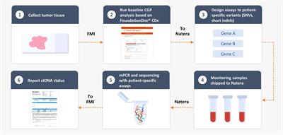 Molecular residual disease detection in resected, muscle-invasive urothelial cancer with a tissue-based comprehensive genomic profiling–informed personalized monitoring assay